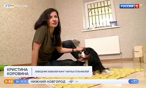 Королевская свита на канале Россия 1